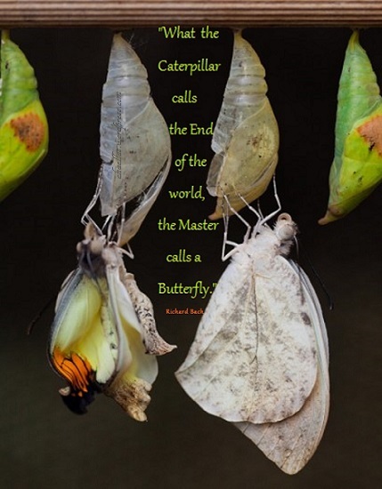 “What the caterpillar calls the end of the world, the Master calls a butterfly.” ~ Richard David Bach