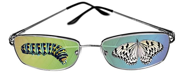 Caterpillar and Butterfly viewed through sunglasses