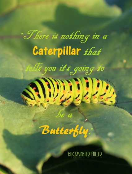 "There is nothing in a caterpillar that tells you it's going to be a butterfly.", Buckminster Fuller